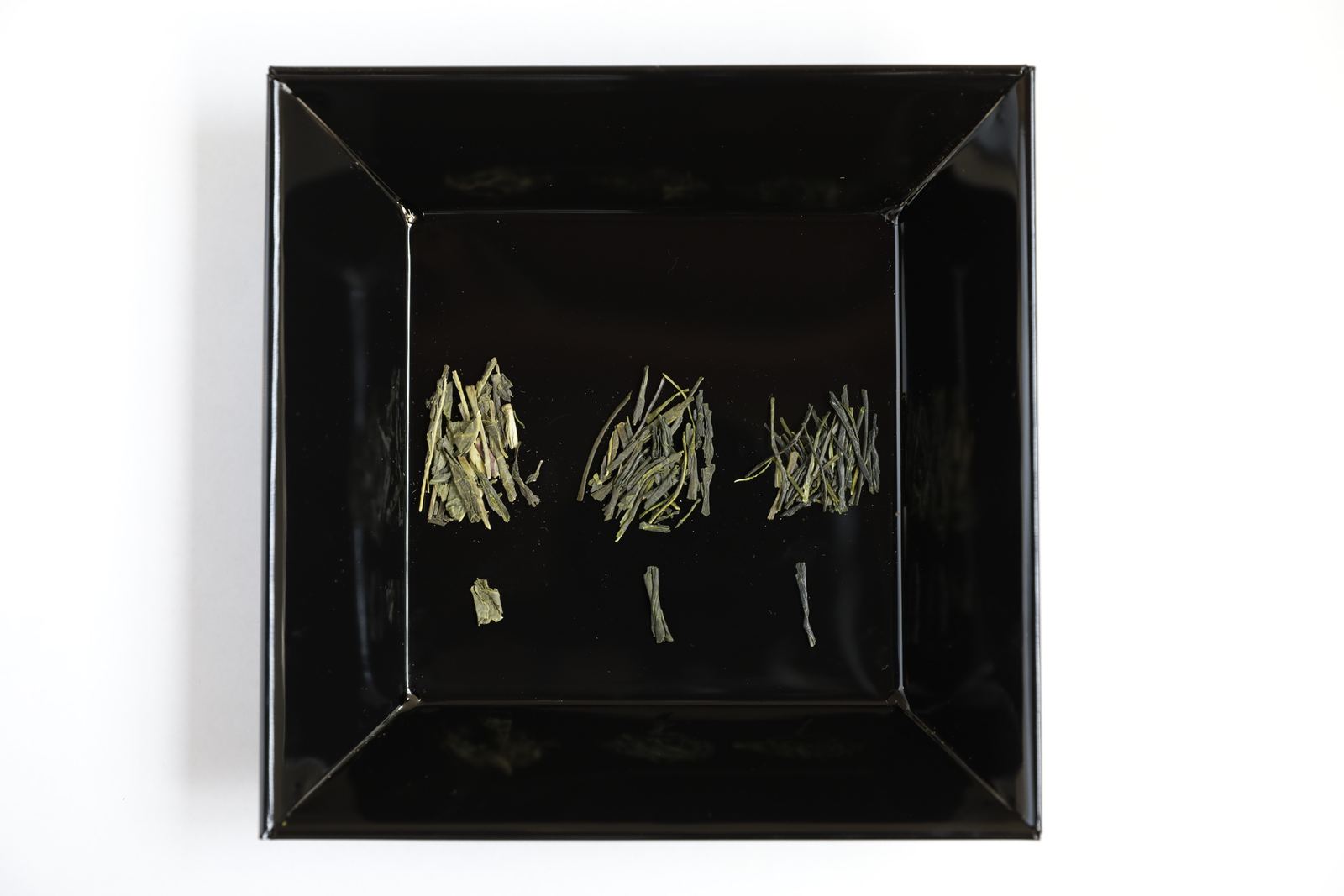Appraisal tray with leaves and stems picked out from the three sencha samples shown in the whole-pile comparison