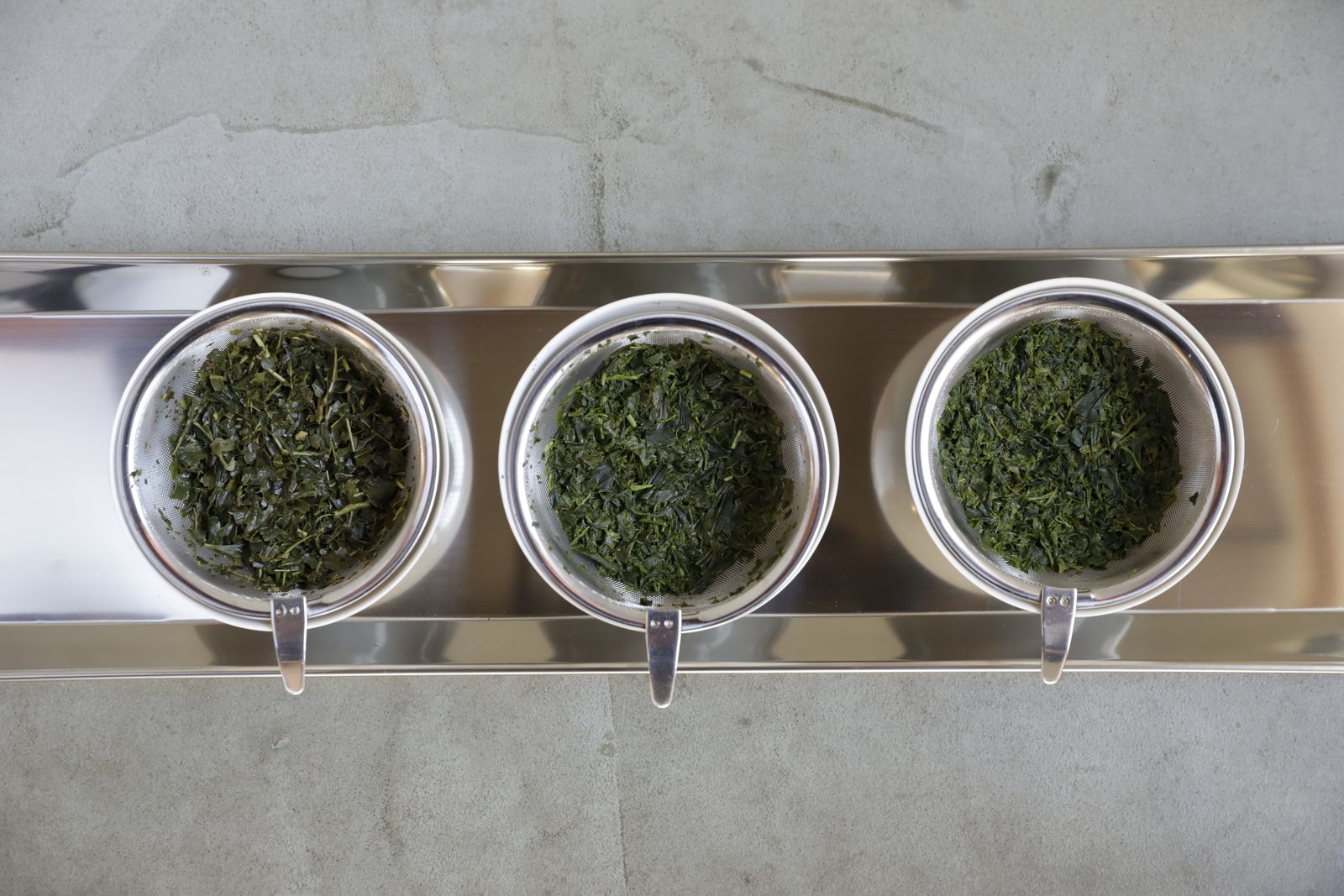 The three sencha samples after being opened with hot water, showing size and color differences in the leaf