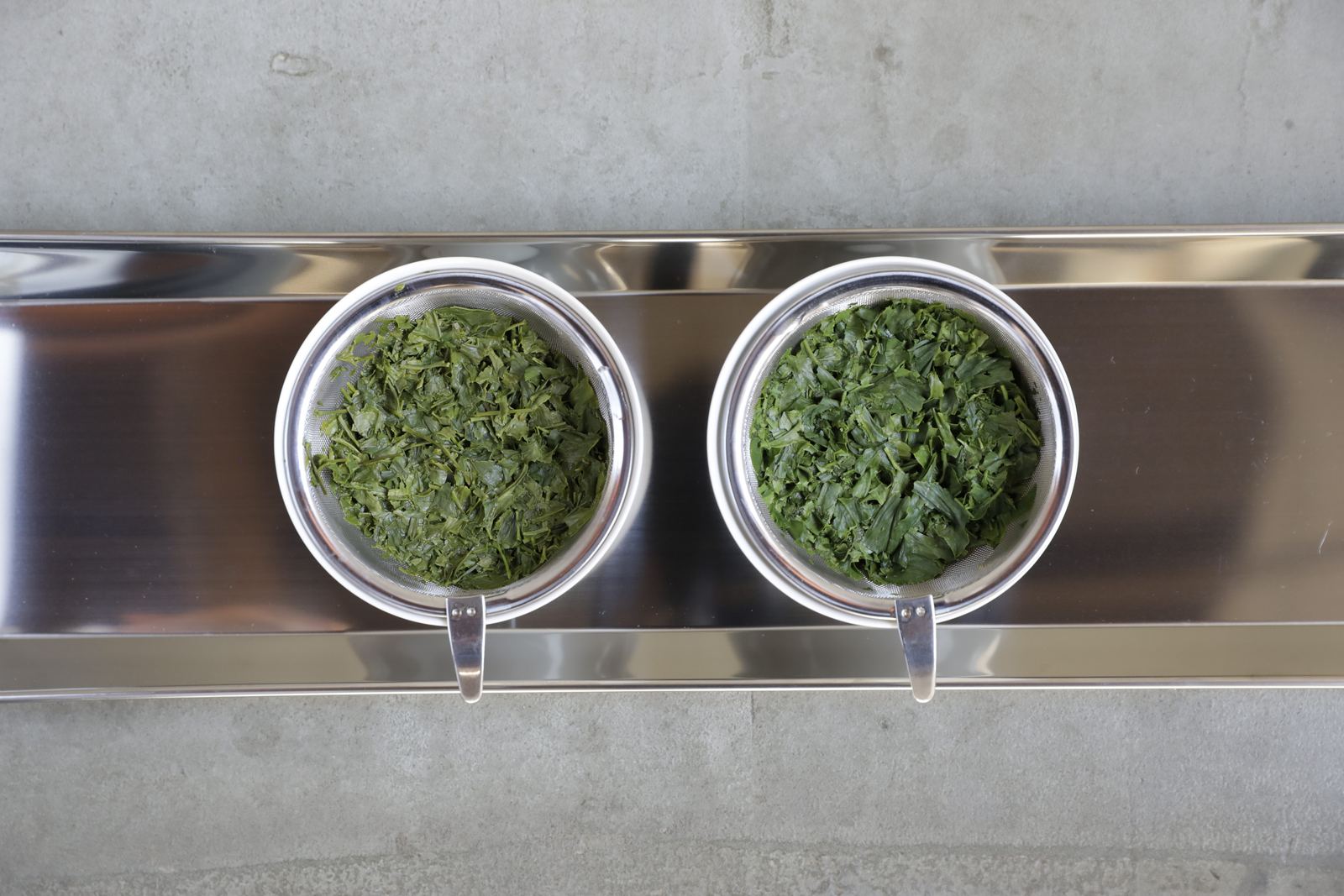 The two higher grade sencha samples after being opened with hot water